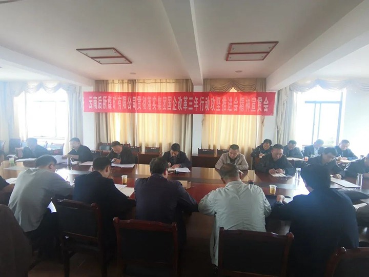云南后所煤矿有限公司深入学习贯彻云煤（NG体育）集团国企改革三年行动攻坚推进会会议精神