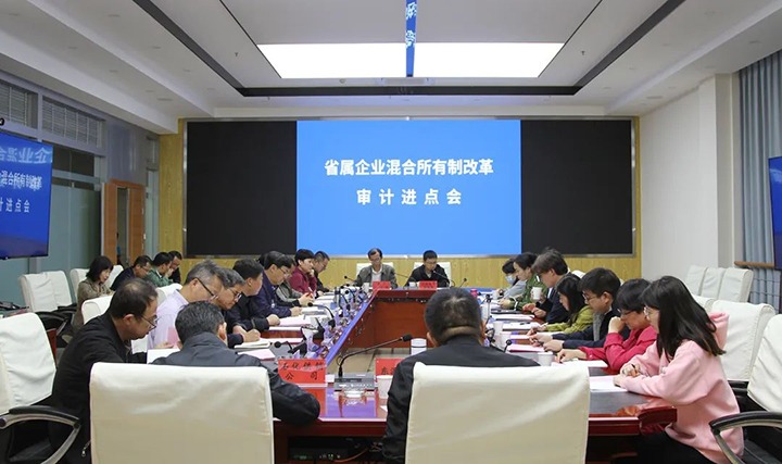 【聚焦云煤】云煤（NG体育）集团召开省属企业混合所有制改革专项审计进点会