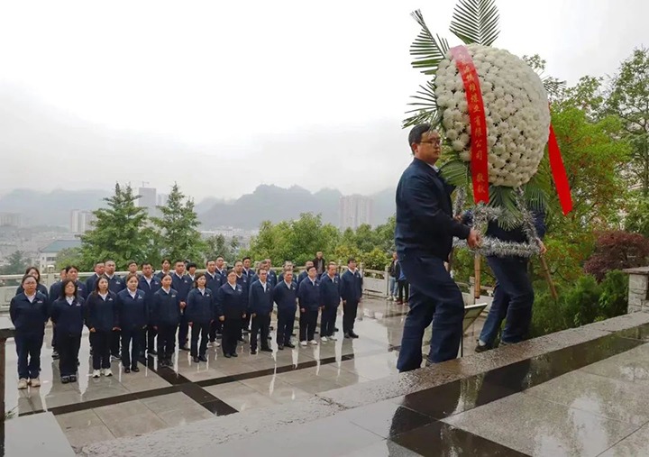 【云煤风采】镇雄煤业、NG体育地产、团结煤业公司开展主题党日活动