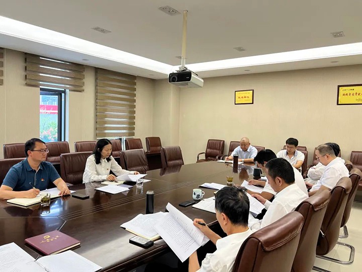 【主题教育】云煤（NG体育）集团党委委员、财务总监莫晓丹到NG体育地产公司指导主题教育专题民主生活会