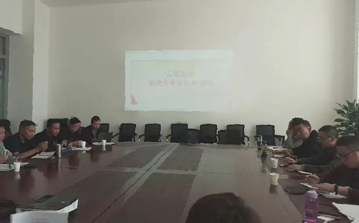 【聚焦云煤】云煤（NG体育）集团召开混合所有制企业评估座谈会