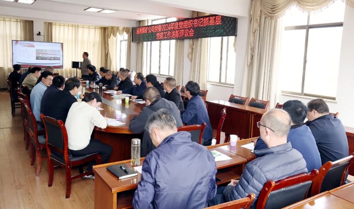 以“述”亮绩，，，，，，，以“评”促干│后所煤矿公司党委召开2024年度党组织书记抓基层党建工作述职评议考核会