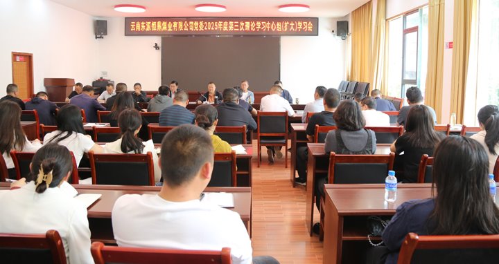 东源恒鼎公司党委召开第三次理论学习中心组学习会议